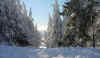 winterbeelden omgeving Karlovy Vary